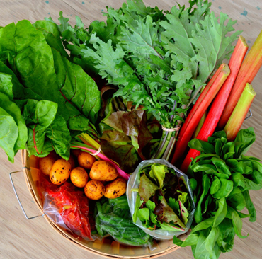 Spring veggie basket